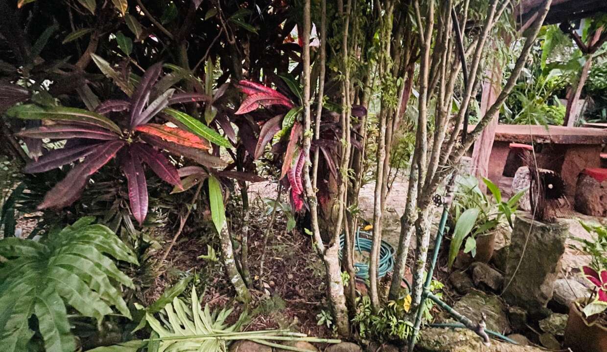 Casa el bosque Barichara (1)