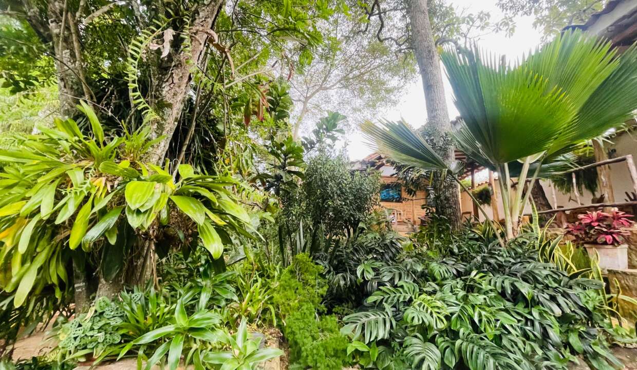 Casa el bosque Barichara (13)