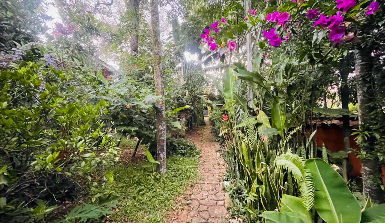 Casa el bosque Barichara (42)