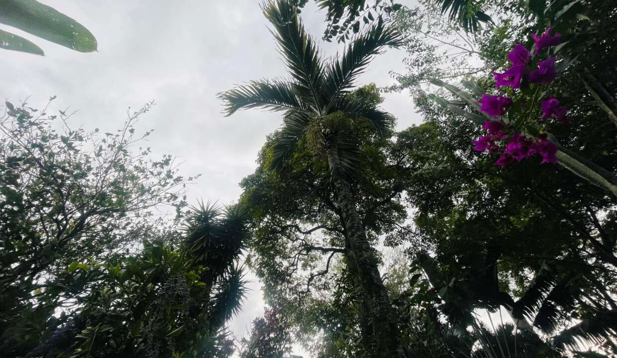 Casa el bosque Barichara (43)