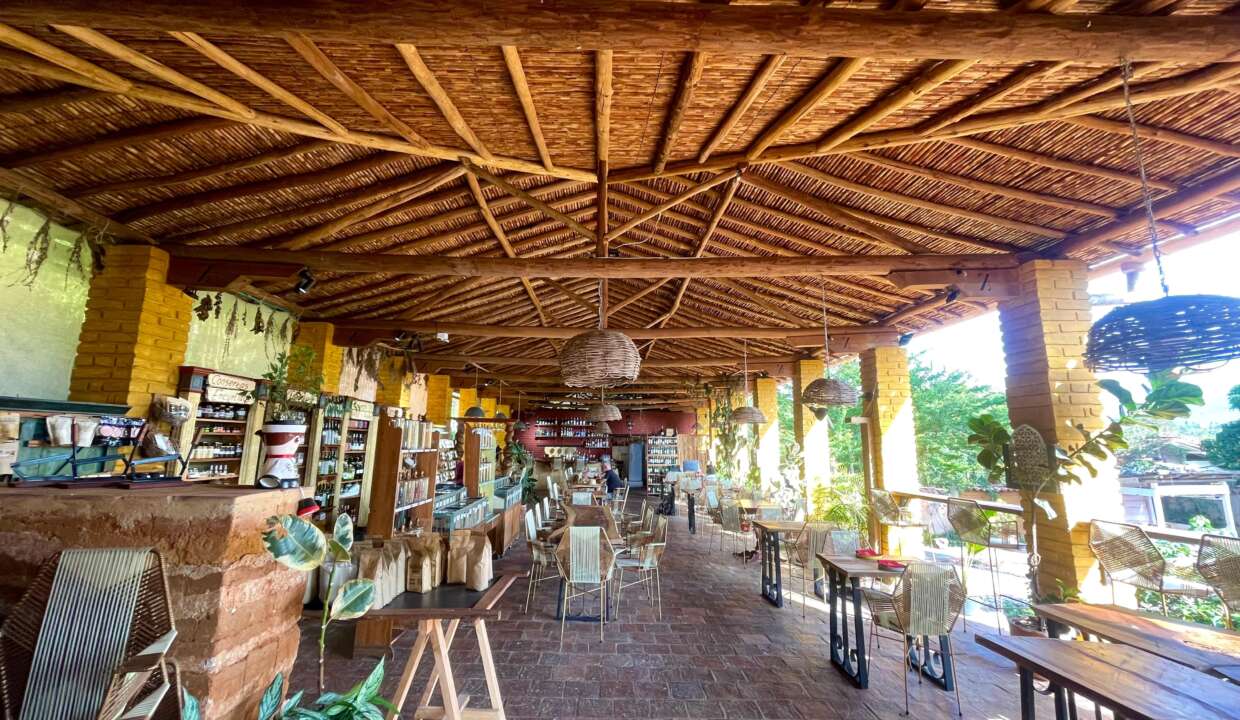 Imagen de WhatsApp 2024-12-13 a las 22.15.54_5604fa97