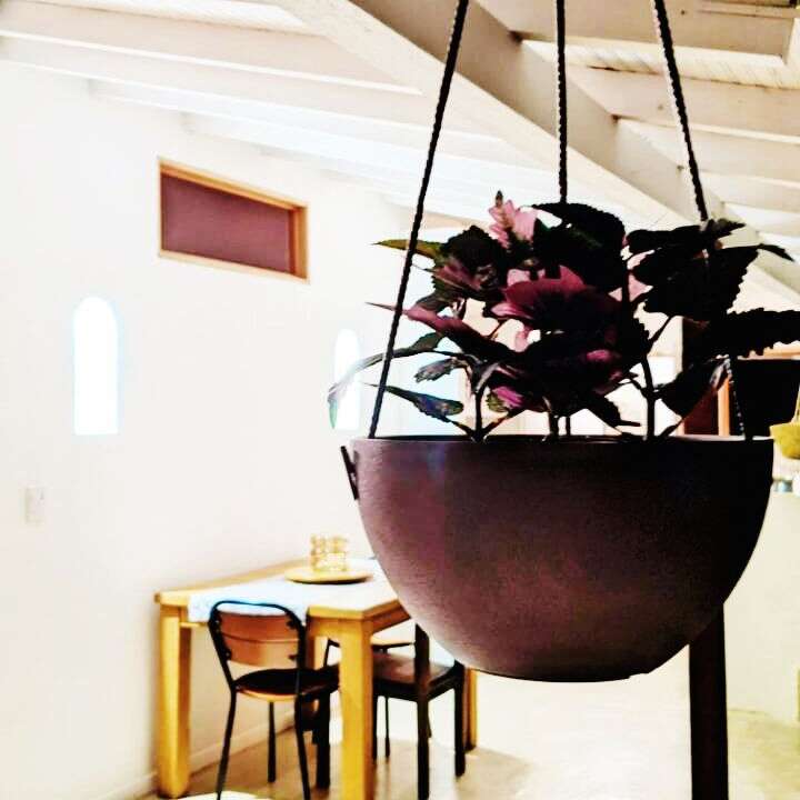 WhatsApp Image 2025-10-28 at 10.43.09 AM (2)