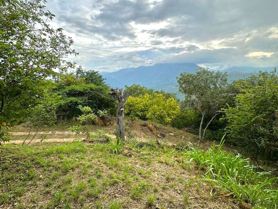 WhatsApp Image 2025-10-28 at 10.48.13 AM (2)