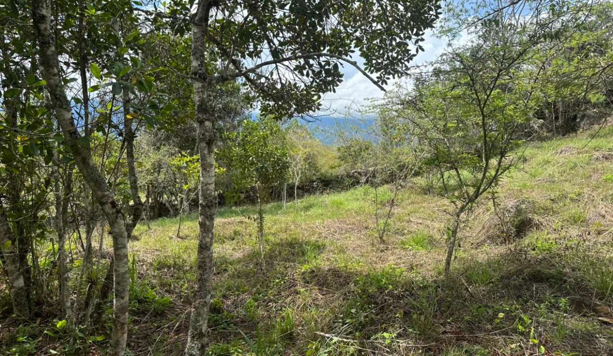 043dc77f-b022-4abf-a389-5eb44eb3274d