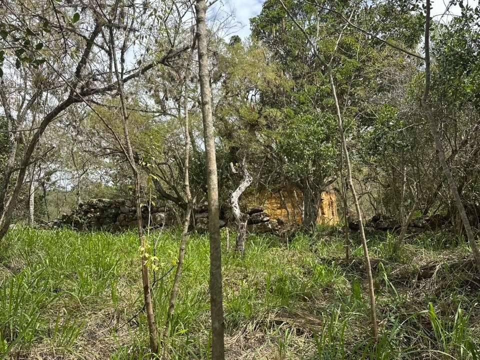 26c790dc-36a6-402a-93a4-98c704c3c4c1