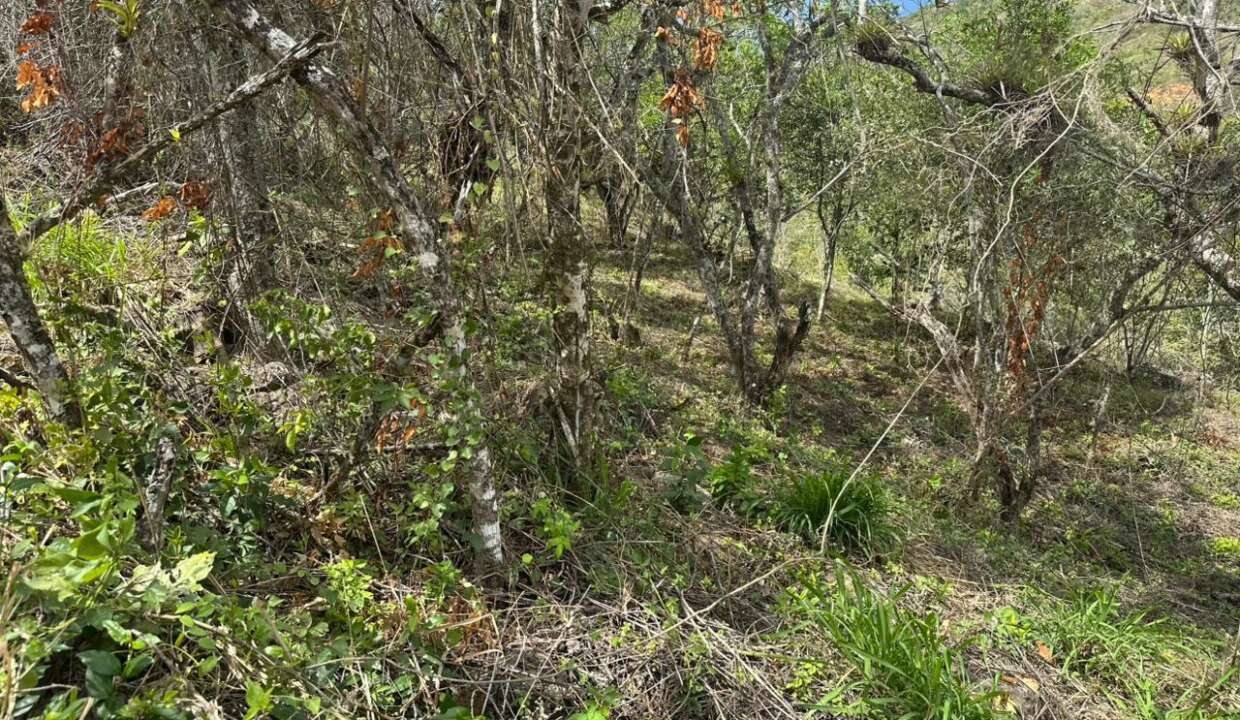 2fafbebe-d479-4169-95e7-b0a29fd53c6d