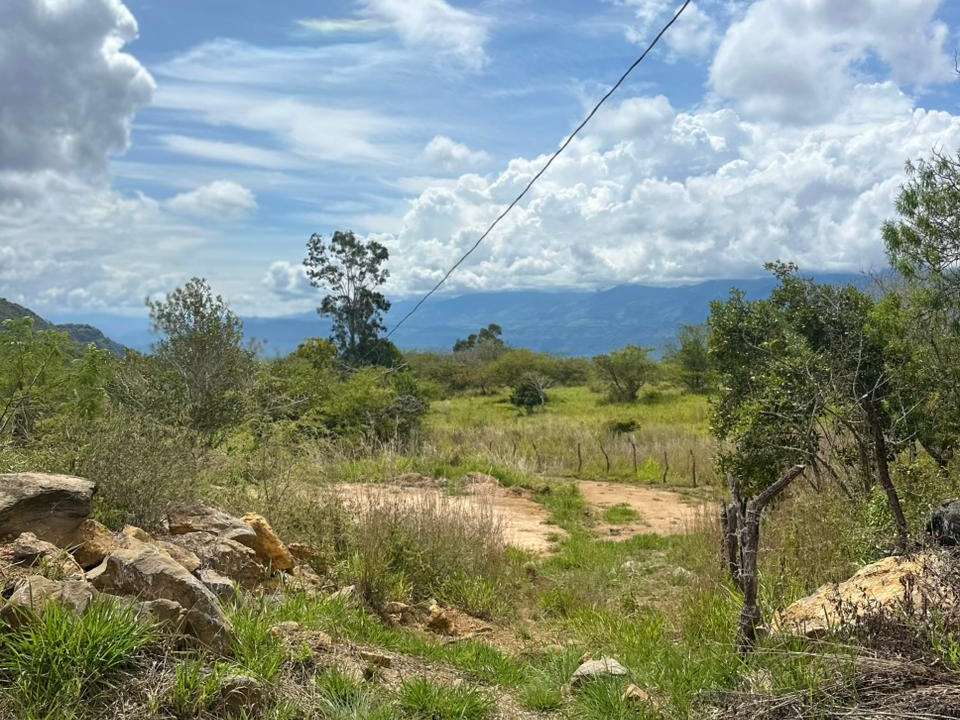 3b2b0641-5544-4fd6-8b55-dcdc73e0bef6