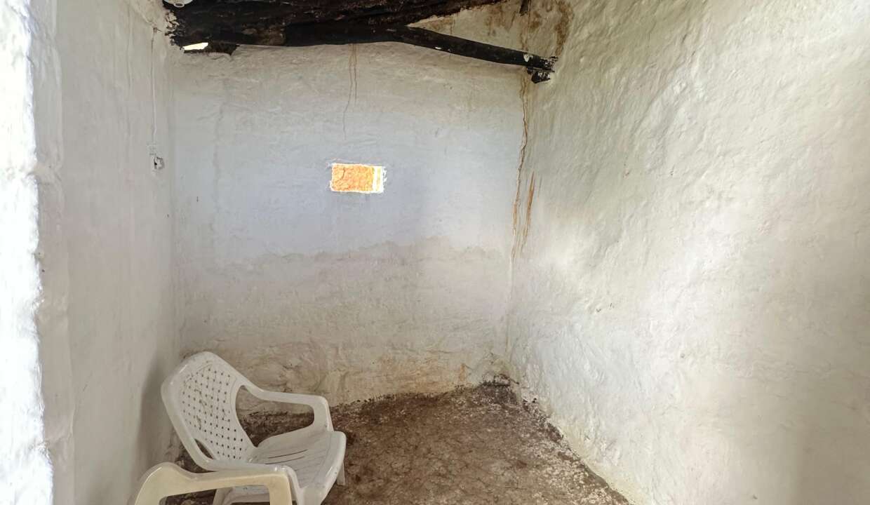 494168a5-9f50-43c1-a832-8370c25d71df