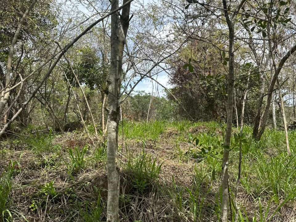 55b6ec72-4f3a-49fd-9f0e-10c79f611a85