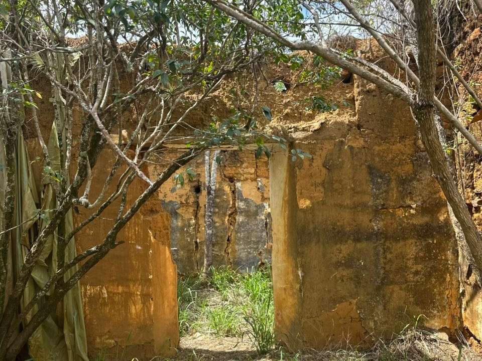 6e372625-4824-47a4-baec-eb9687b382de