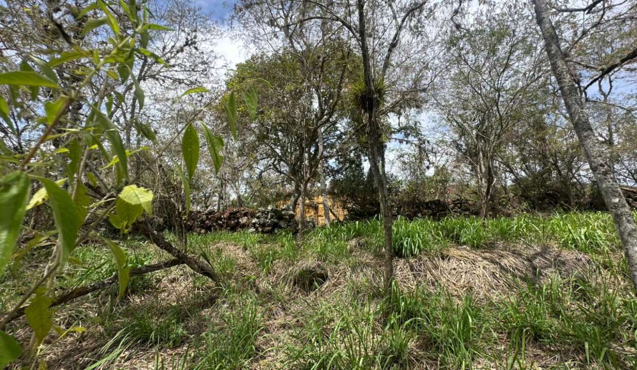 70e09522-bf9c-4c8d-a7fc-387e09b913b2