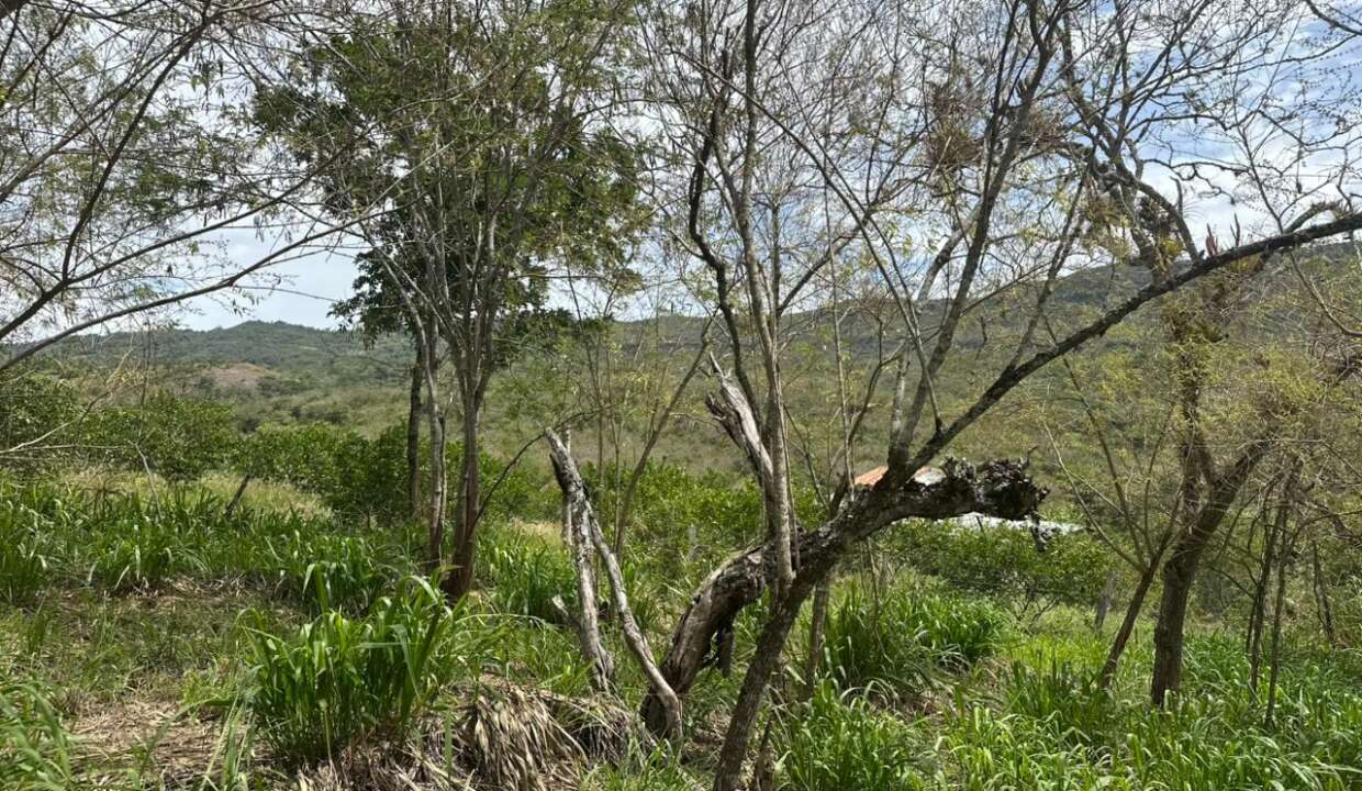 78e162d1-4276-4907-9ae3-61f2645b767e