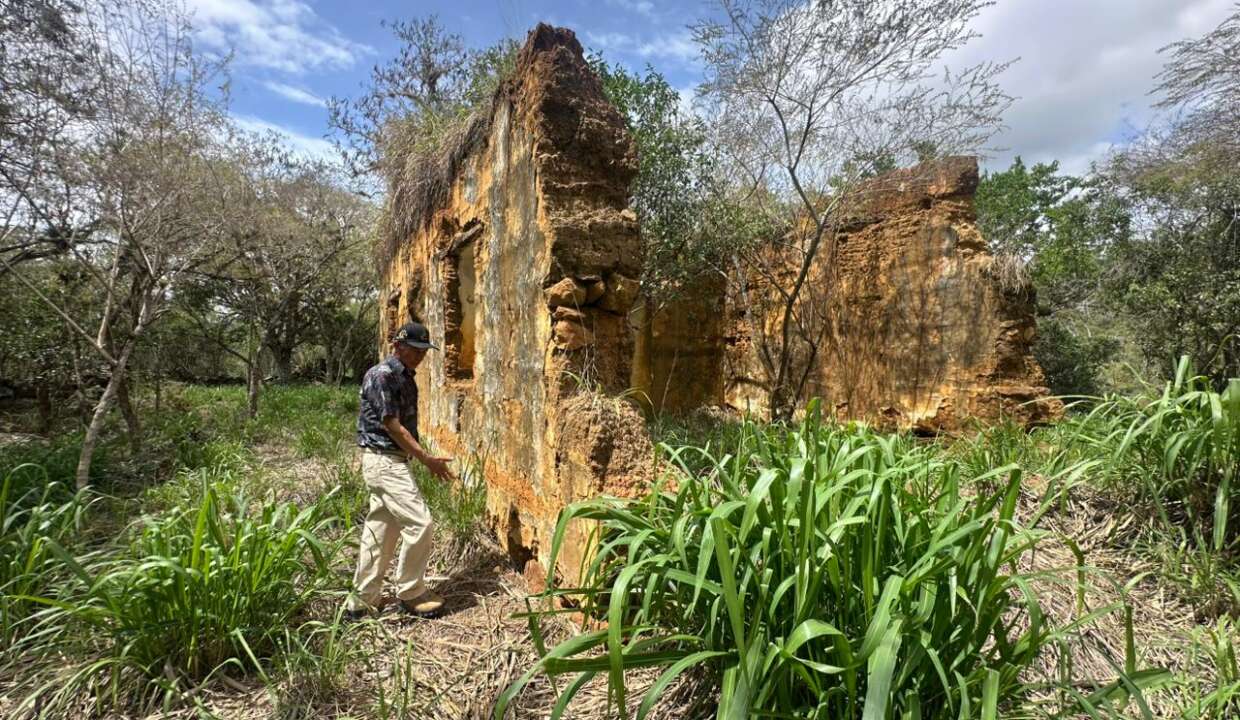 7b41542f-48cb-48a5-b08a-cebbd8b958c7