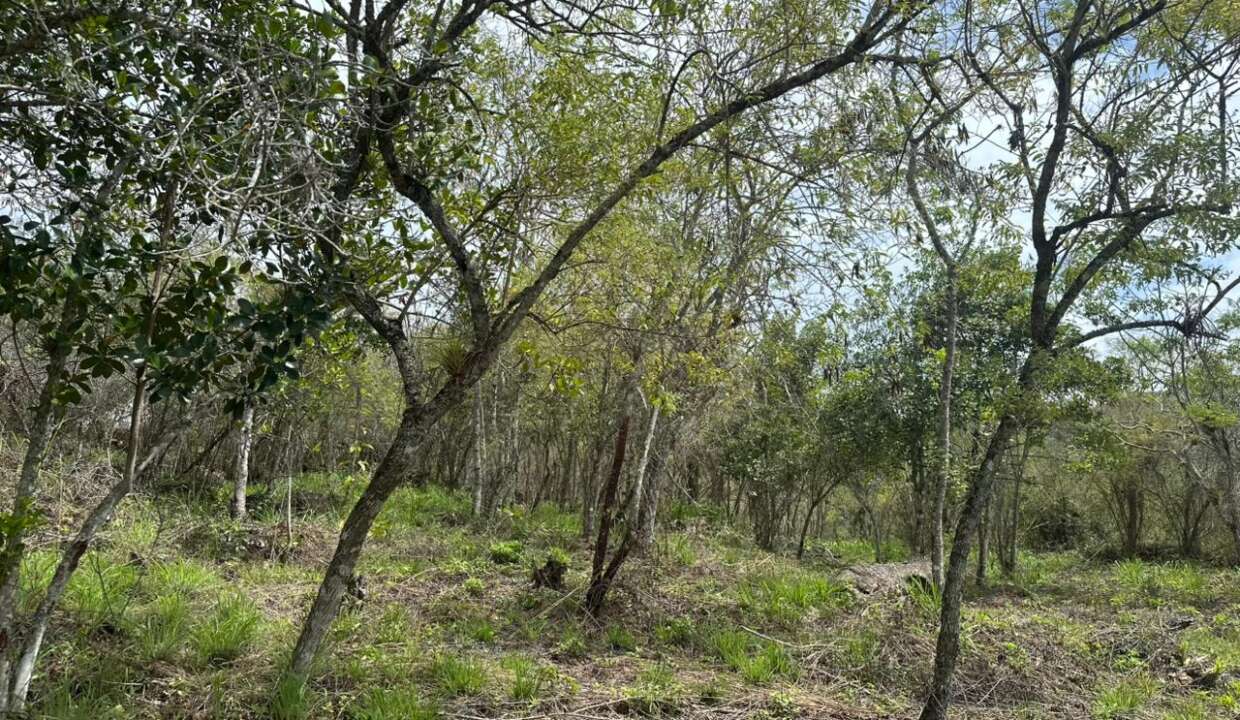 8f0580d7-c28f-4b7d-83a6-c9f480f0ff90