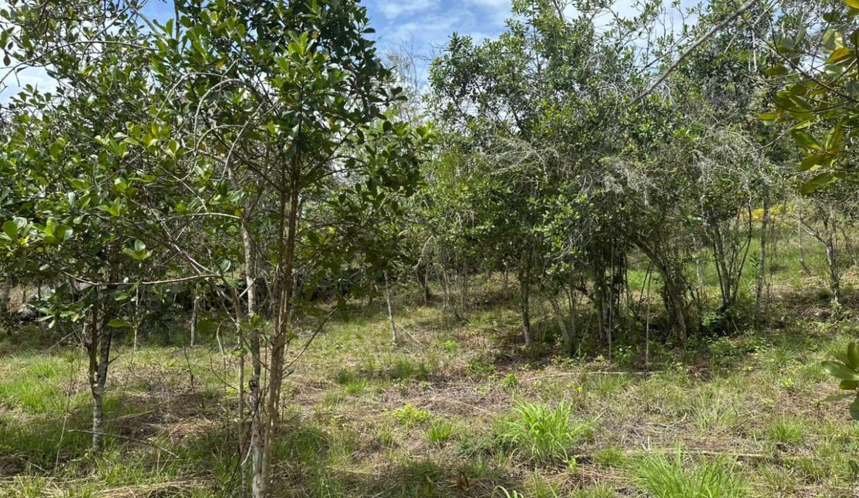 93f0a7cc-42a4-46c1-87f2-bf736304937b