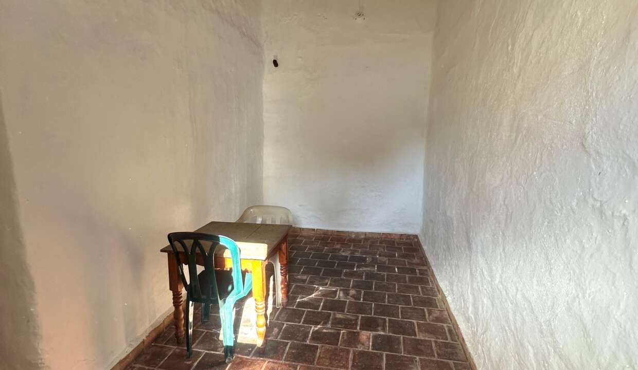 c310e4a3-d97a-41ee-8d56-45061ab453b2