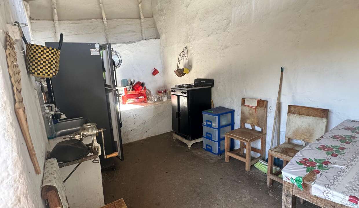 c8a650d2-a5a0-4006-99ee-52d856735403