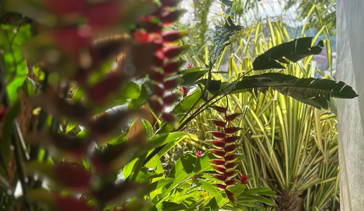 casa campestre de lujo (12)