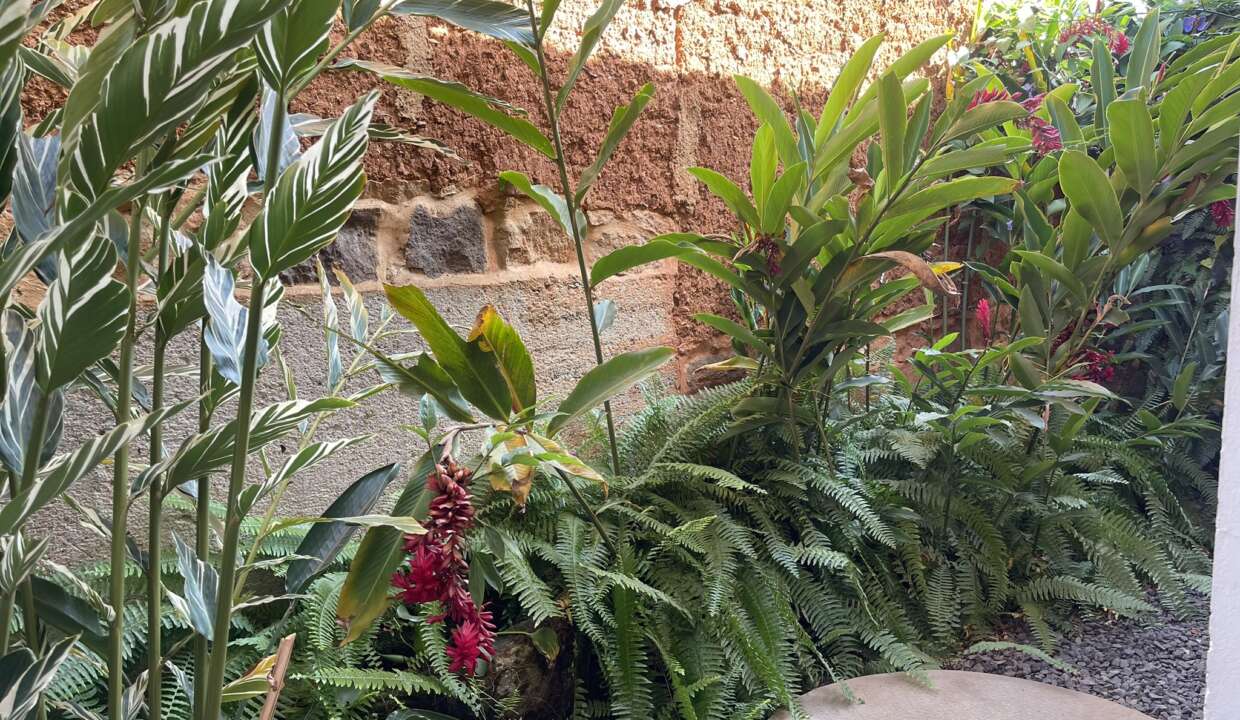 casa campestre de lujo (17)